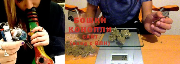 дурь Бронницы