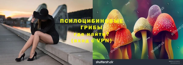 ГАЛЛЮЦИНОГЕННЫЕ ГРИБЫ Бугульма