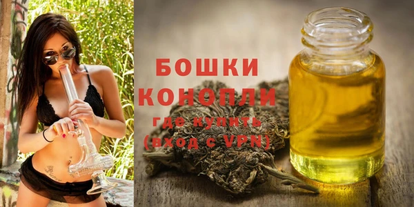 ALPHA PVP Бородино