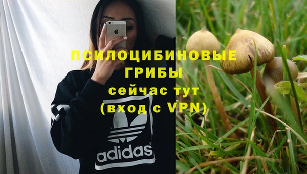 ALPHA PVP Бородино