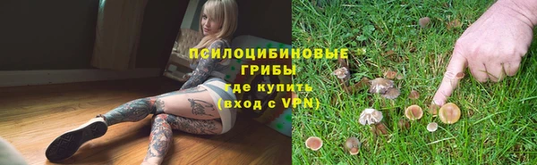 ALPHA PVP Бородино