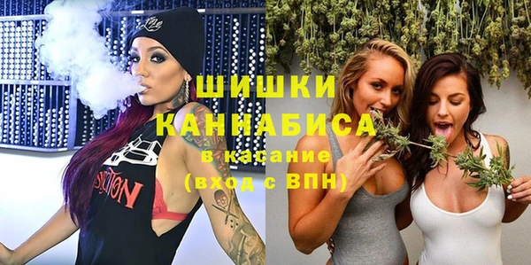 дурь Бронницы