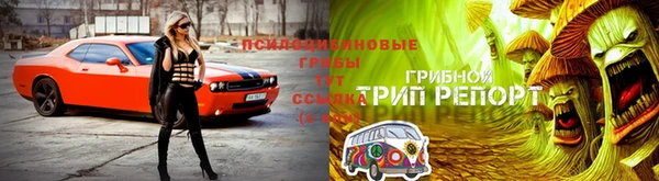 гашишное масло Верея