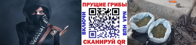 Купить  Кореновск  Псилоцибиновые грибы MAGIC MUSHROOMS 